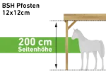 Pfostenstärke BSH 12x12cm (Seitenhöhe 200 cm) (+ 290 €)