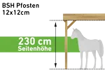 Pfostenstärke BSH 12x12cm (Seitenhöhe 230 cm) (+ 290 €)