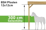 Pfostenstärke BSH 12x12cm (Seitenhöhe 300 cm) (+ 540 €)